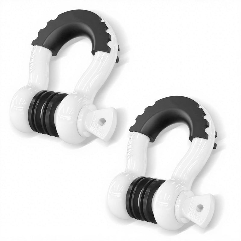 Heavy Duty 3/4" D Ring Shackle (2 Pack)