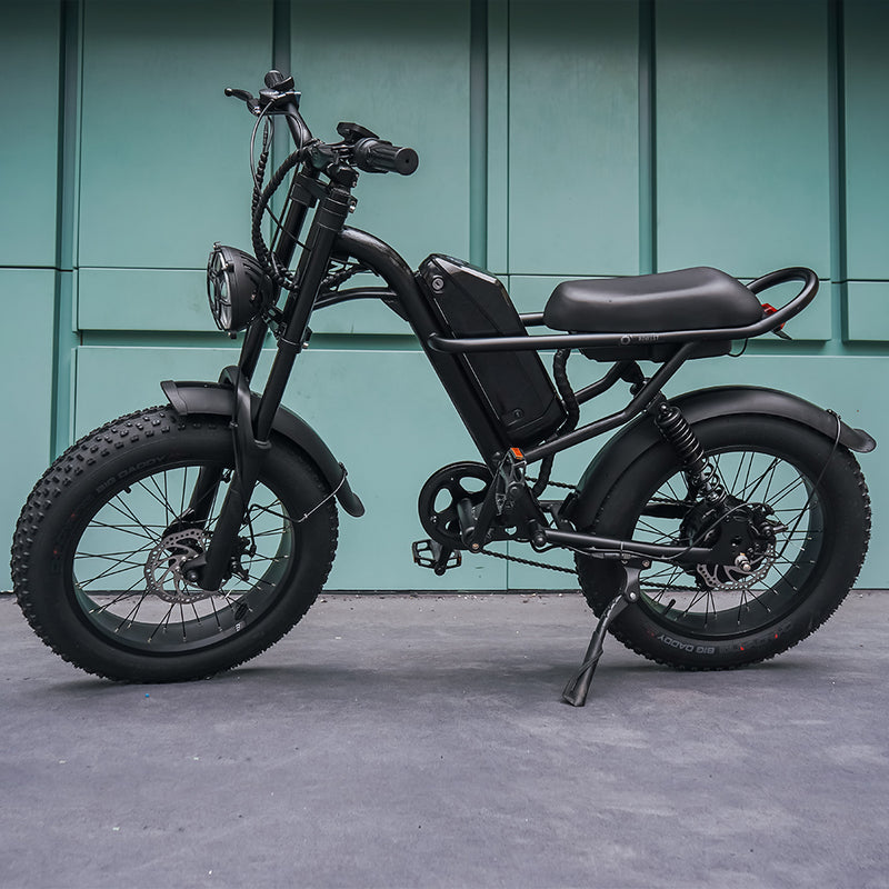 Sunpie 20 inch 48V 15.6A 750W Fat Tire Electric Bikes for Adults