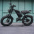 20 inch 48V 15.6A 500W Fat Tire Adults Electric Bike