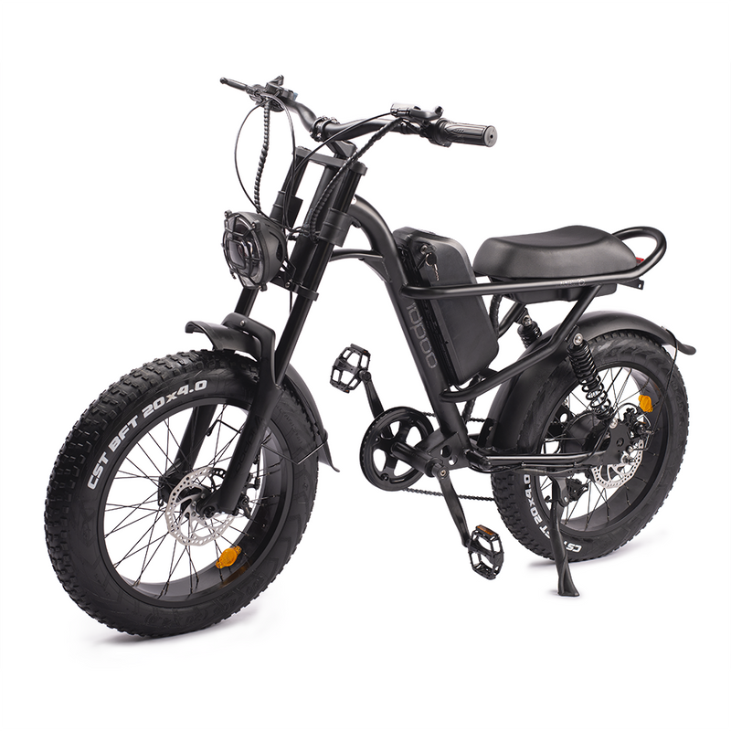Sunpie 20 inch 48V 15.6A 750W Fat Tire Electric Bikes for Adults