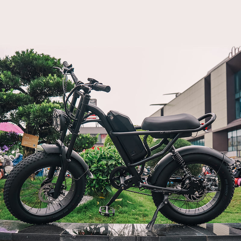 Sunpie 20 inch 48V 15.6A 750W Fat Tire Electric Bikes for Adults