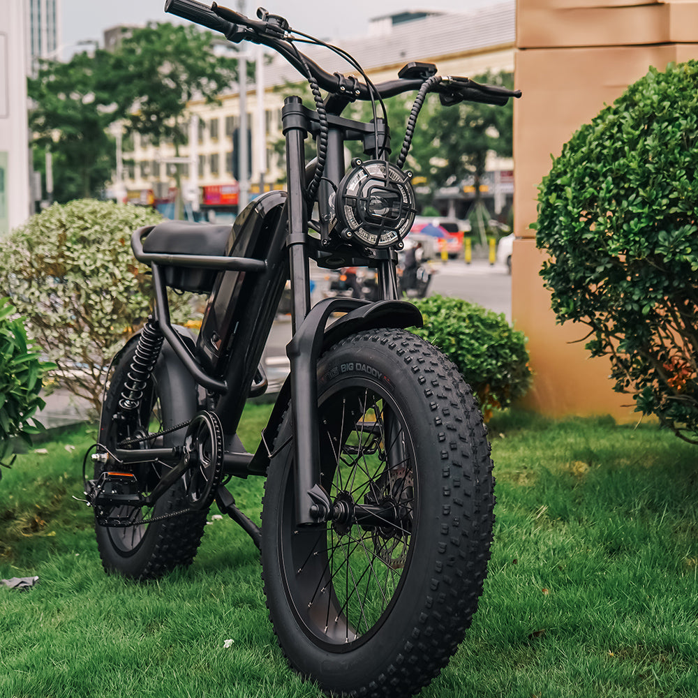 Sunpie 20 inch 48V 15.6A 750W Fat Tire Electric Bikes for Adults