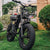 20 inch 48V 15.6A 500W Fat Tire Adults Electric Bike