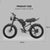 20 inch 48V 15.6A 500W Fat Tire Adults Electric Bike