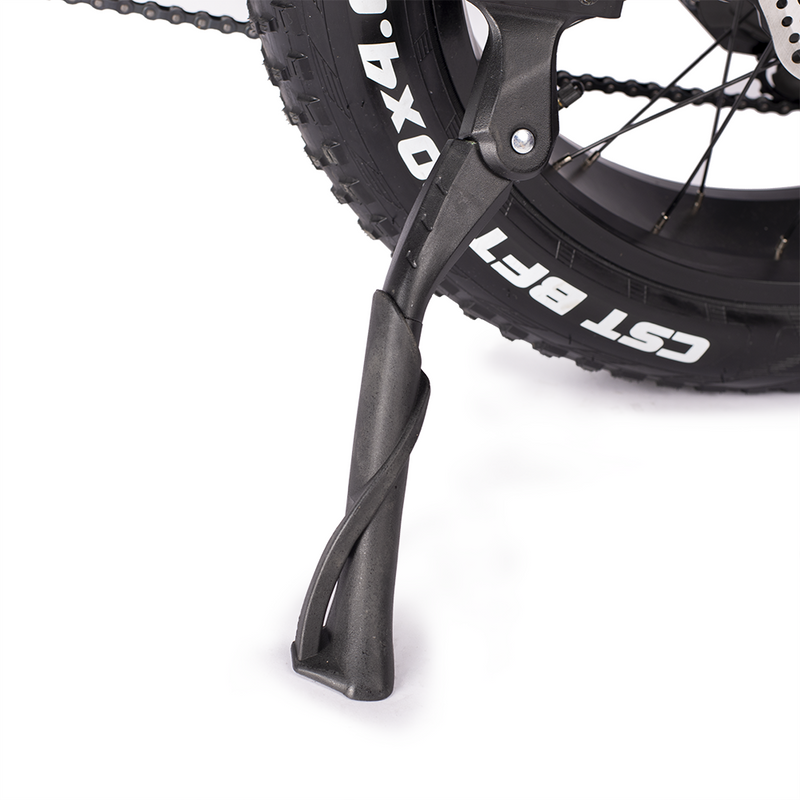Sunpie 20 inch 48V 15.6A 750W Fat Tire Electric Bikes for Adults