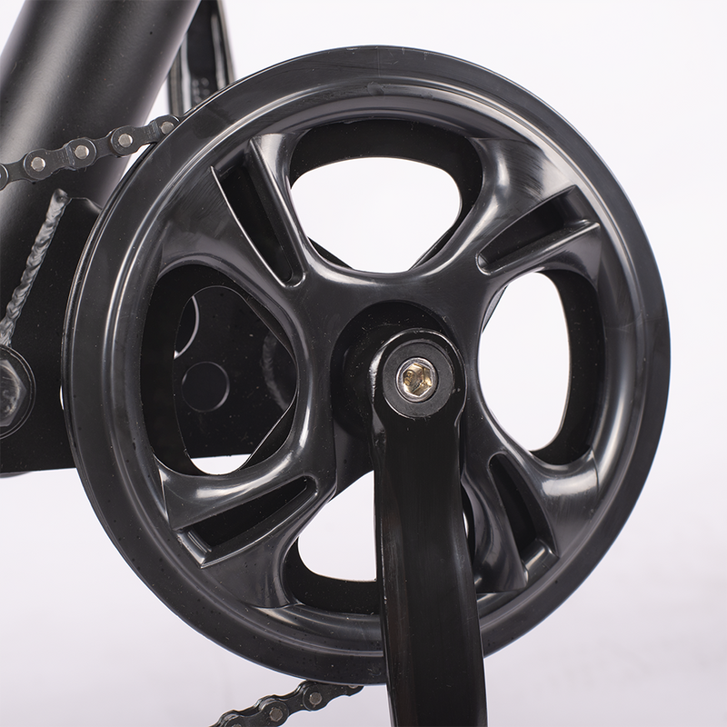 Sunpie 20 inch 48V 15.6A 750W Fat Tire Electric Bikes for Adults