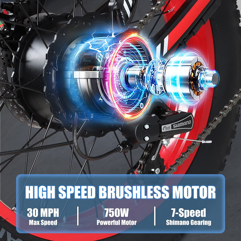 Electric Bike for Adults 750W 48V Foldable Electric Bicycle with